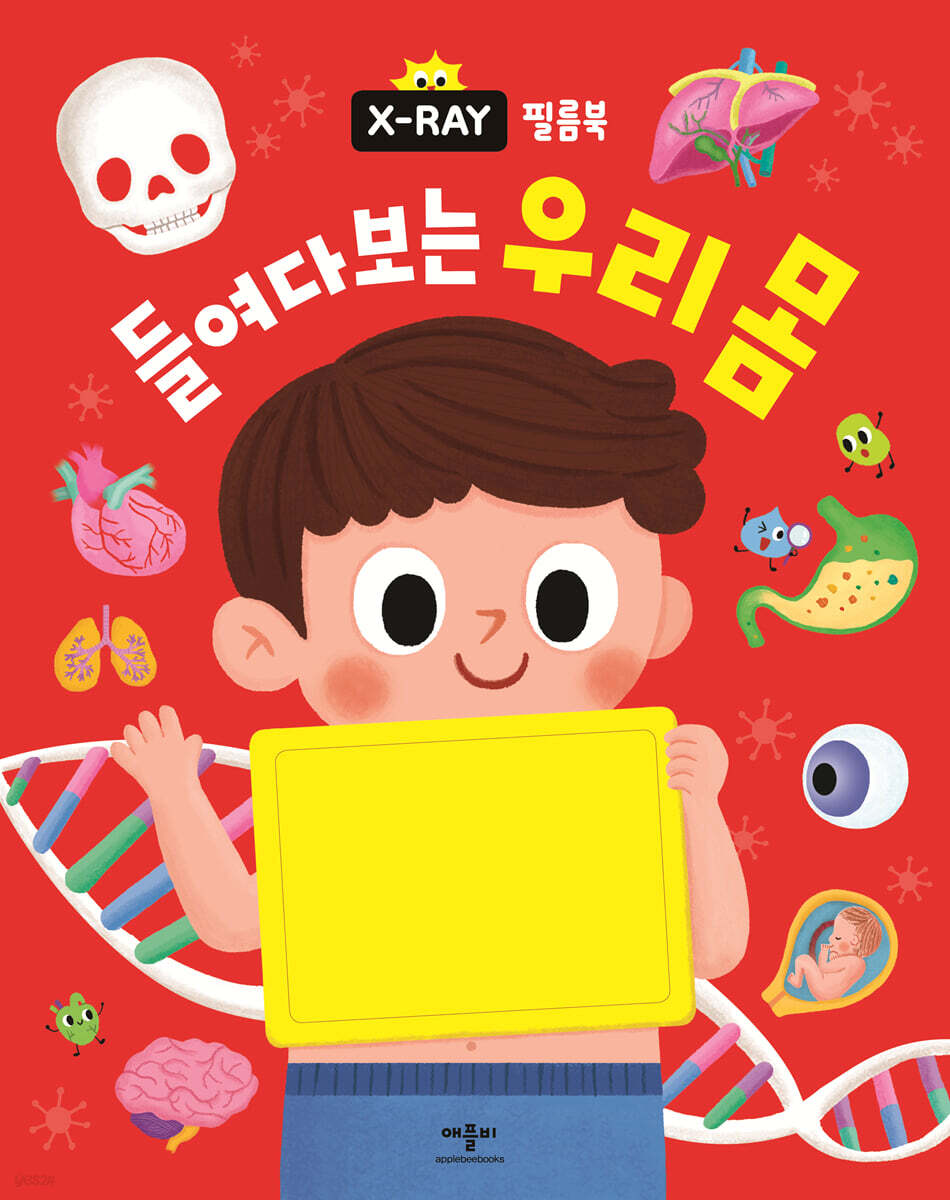 X-RAY 필름북 들여다보는 우리 몸