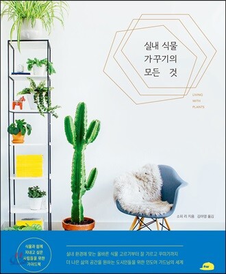 실내 식물 가꾸기의 모든 것