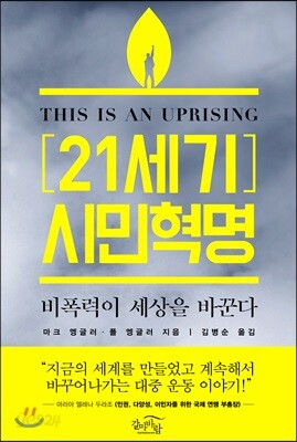 21세기 시민혁명