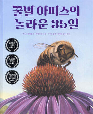 [중고-최상] 꿀벌 아피스의 놀라운 35일