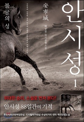 안시성 1 - 불굴의 성