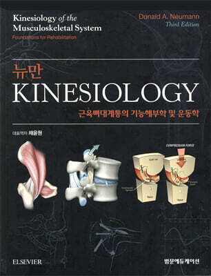 뉴만 kinesiology 근육뼈대계통의 기능해부학 및 운동학