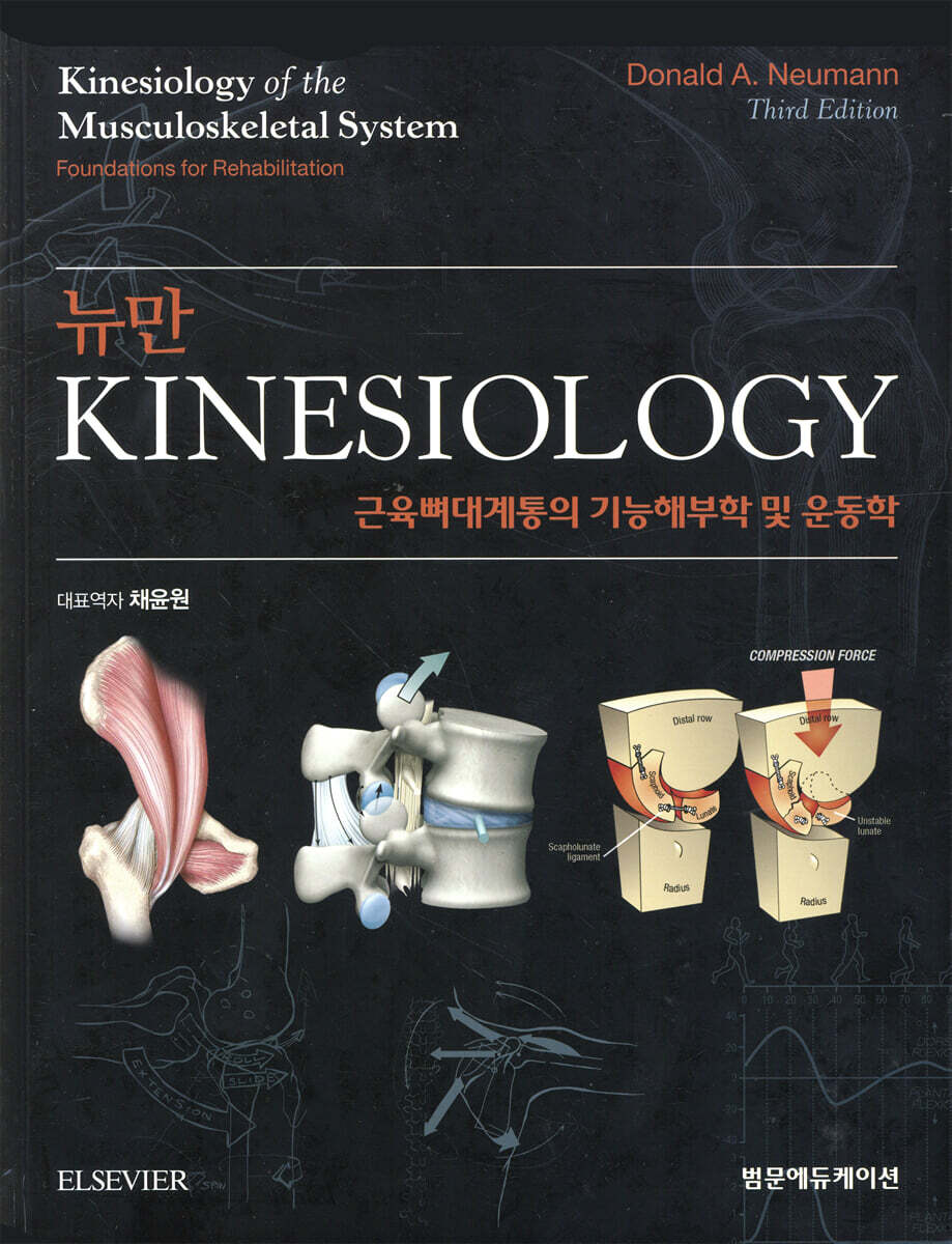 뉴만 kinesiology 근육뼈대계통의 기능해부학 및 운동학