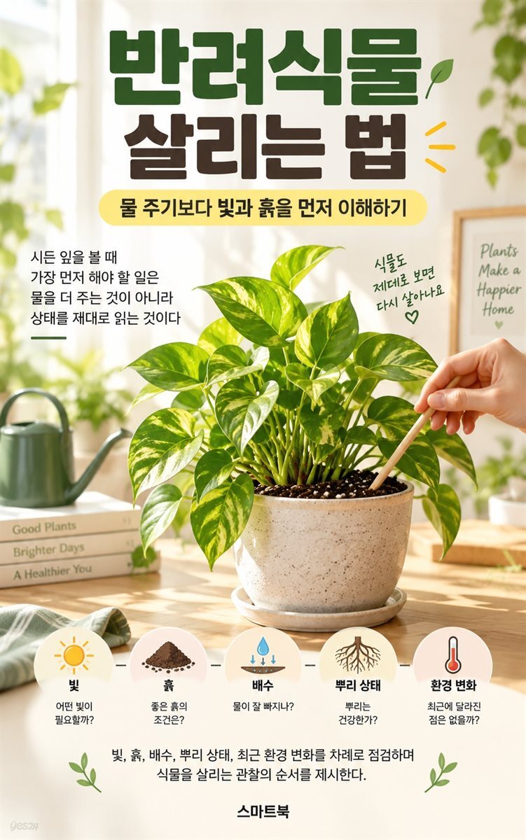 반려식물 살리는 법