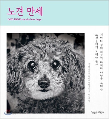 노견 만세