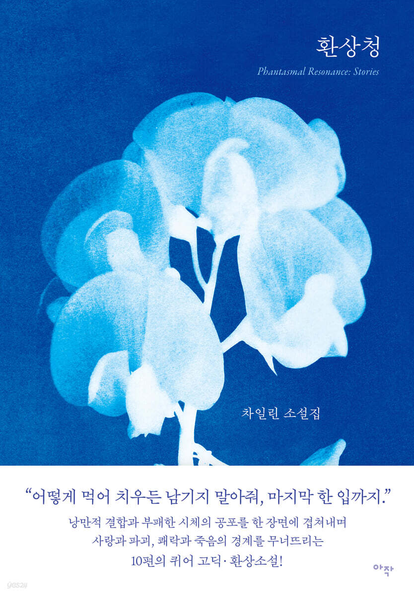 환상청