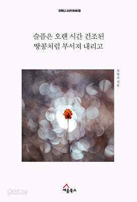 슬픔은 오랜 시간 건조된 땅콩처럼 부서져 내리고