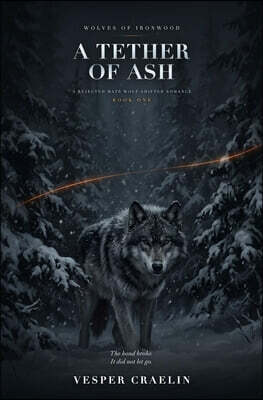 Hollow Tide Press A Tether of Ash: A Rejected Mate Wolf Shifter Romance