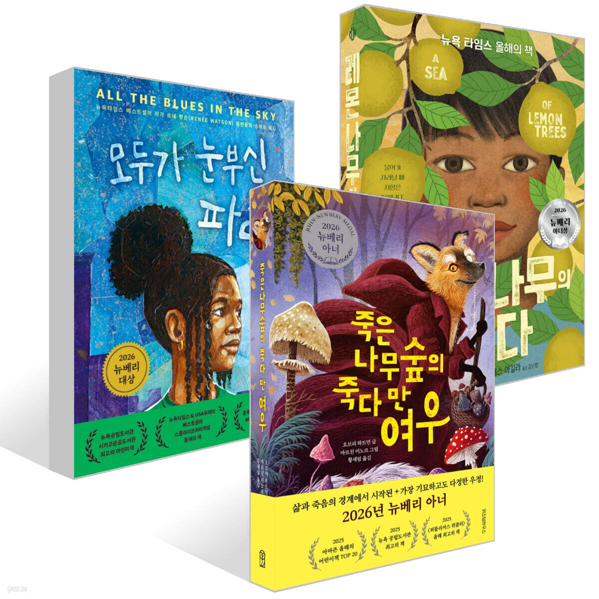 2026 뉴베리 대상 & 아너상 수상작 세트