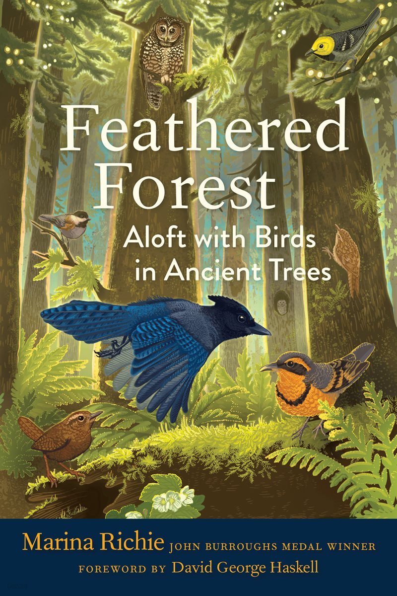 [단독] Feathered Forest