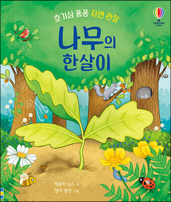 나무의 한살이