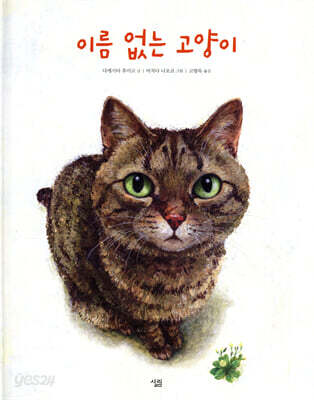 이름 없는 고양이
