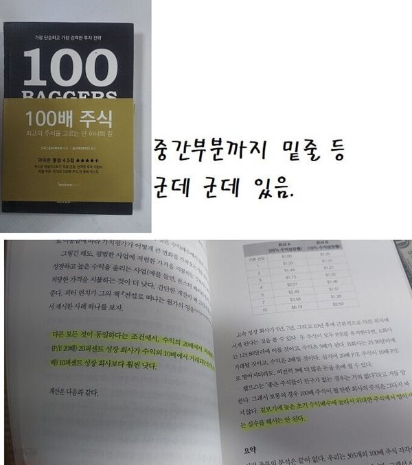 100배 주식