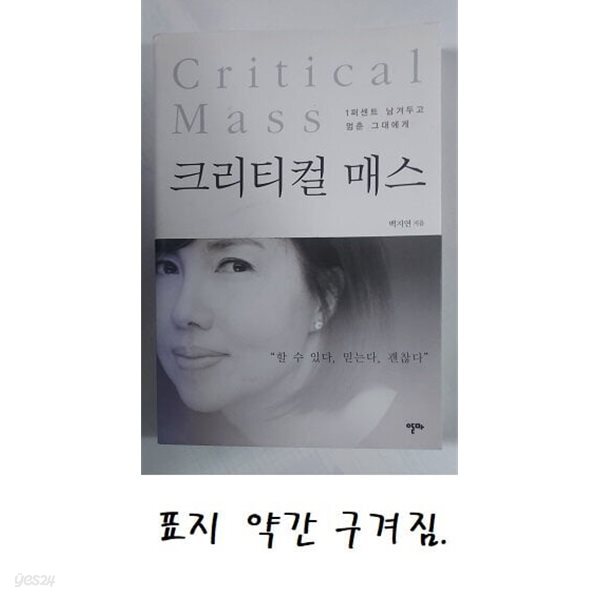 크리티컬 매스