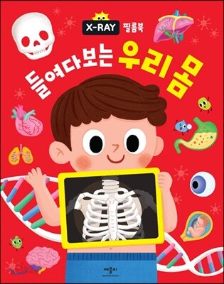 X-RAY 필름북 들여다보는 우리 몸