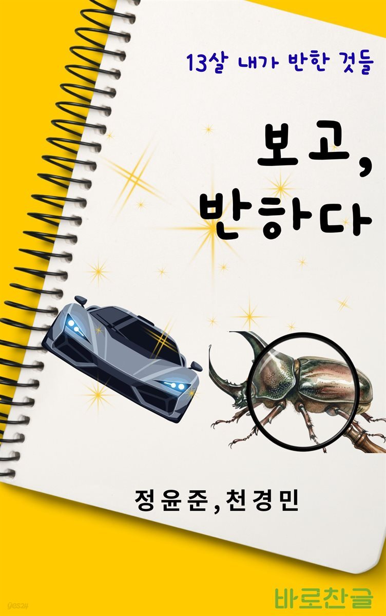 보고,반하다