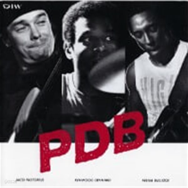 PDB (Jaco Pastorius, Kenwood Dennard, Hiram Bullock) / PDB (일본수입/DIW827)