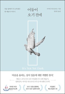 어둠이 오기 전에