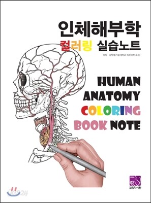 인체해부학 컬러링 실습노트
