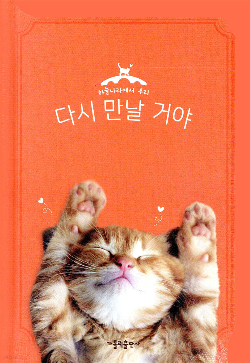 다시 만날 거야 고양이 편