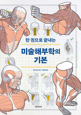미술해부학의 기본