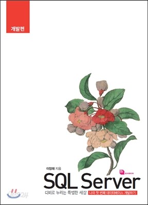 SQL Server 개발편