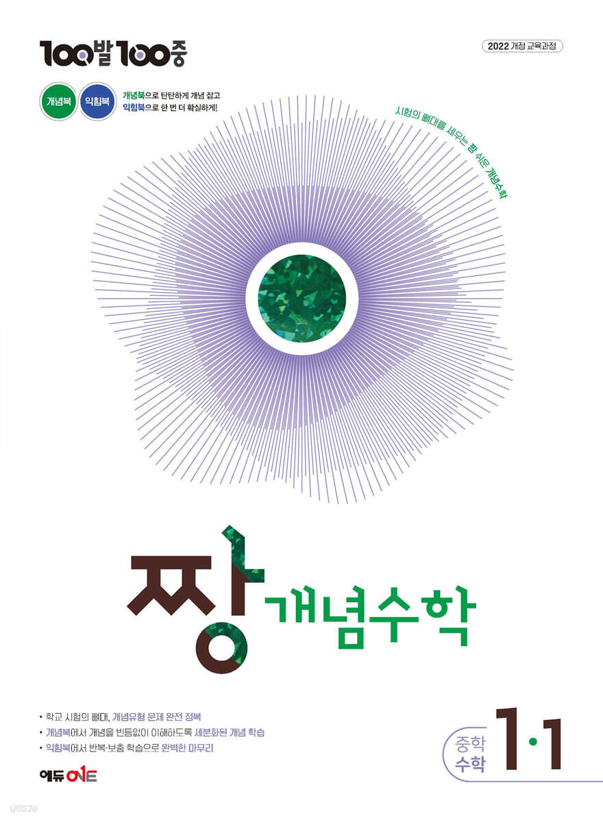 100발 100중 중등 짱 개념수학 1-1 2027 교재 표지