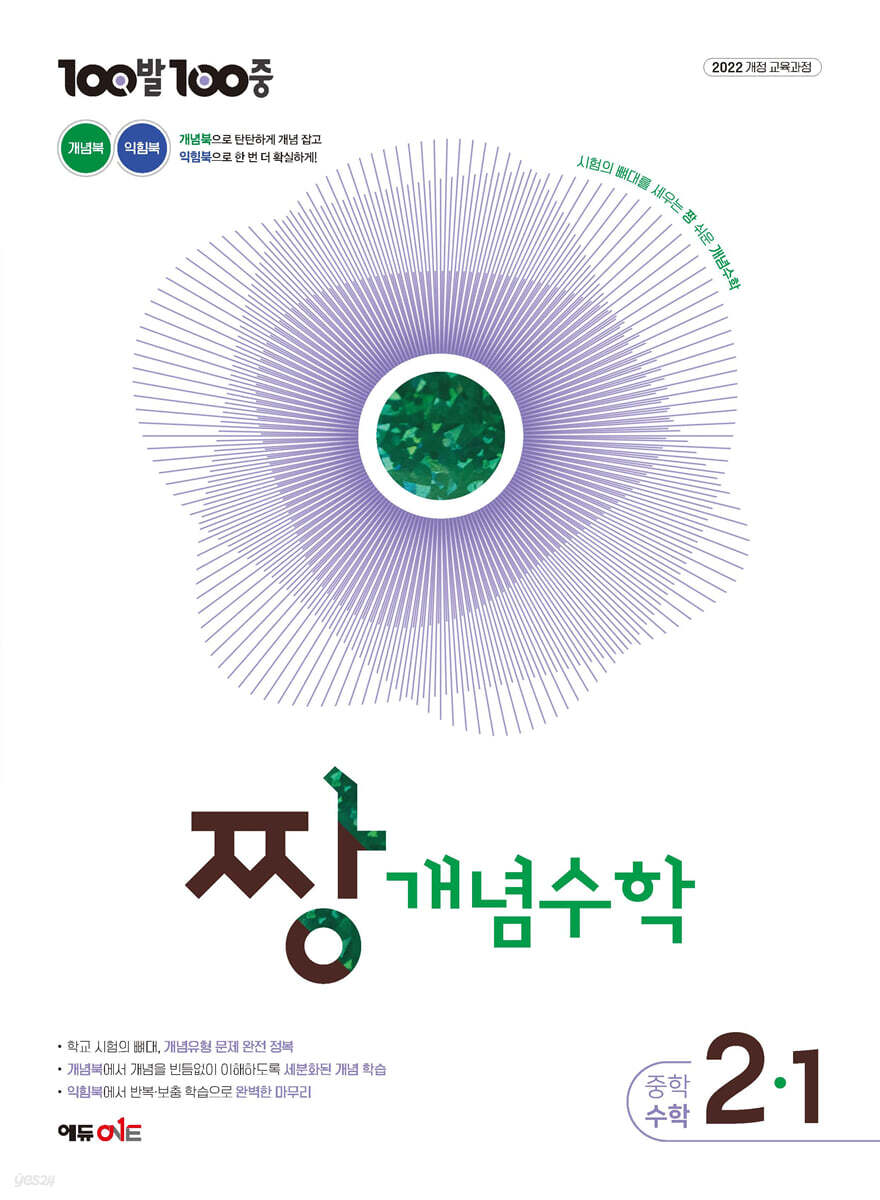 100발 100중 중등 짱 개념수학 2-1 (2027년)