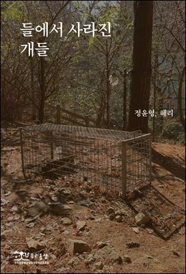들에서 사라진 개들