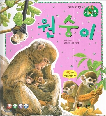 원숭이 (땅에사는동물)