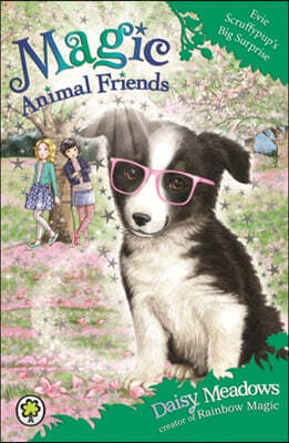 Magic Animal Friends: Evie Scruffypup's Big Surprise : Book 10 (Paperback)