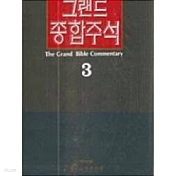 그랜드 종합주석 3 