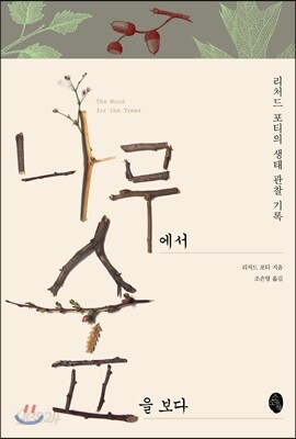 나무에서 숲을 보다