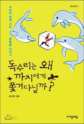 독수리는 왜 까치에게 쫓겨다닐까?