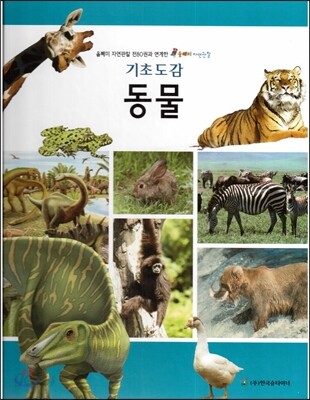 올빼미 자연관찰 동물 (올빼미 자연관찰 전 80권과 연계한 기초도감)
