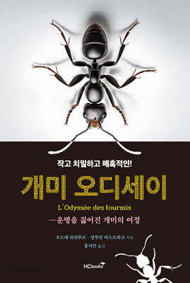 개미 오디세이