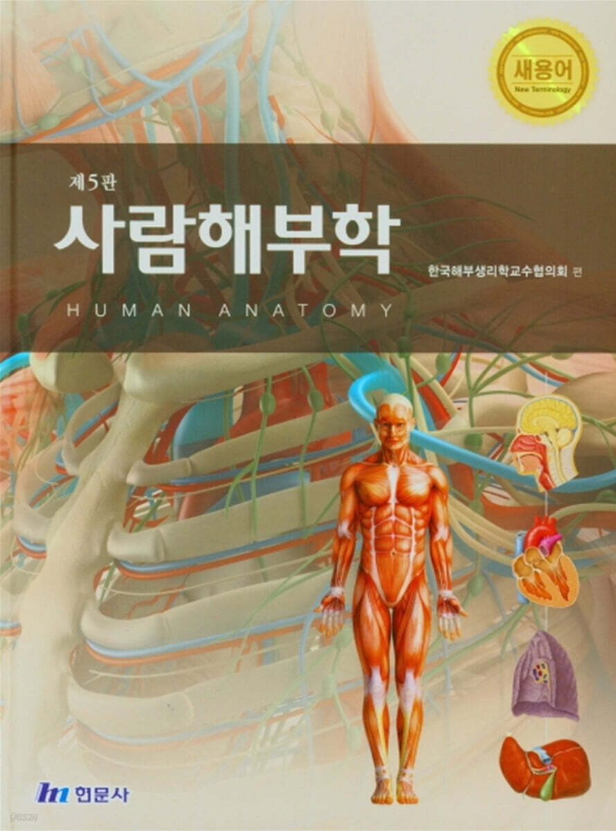 새용어 사람해부학