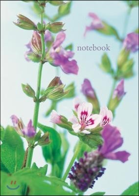 Notebook: Scented Geranium