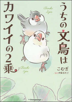 うちの文鳥はカワイイの2乘