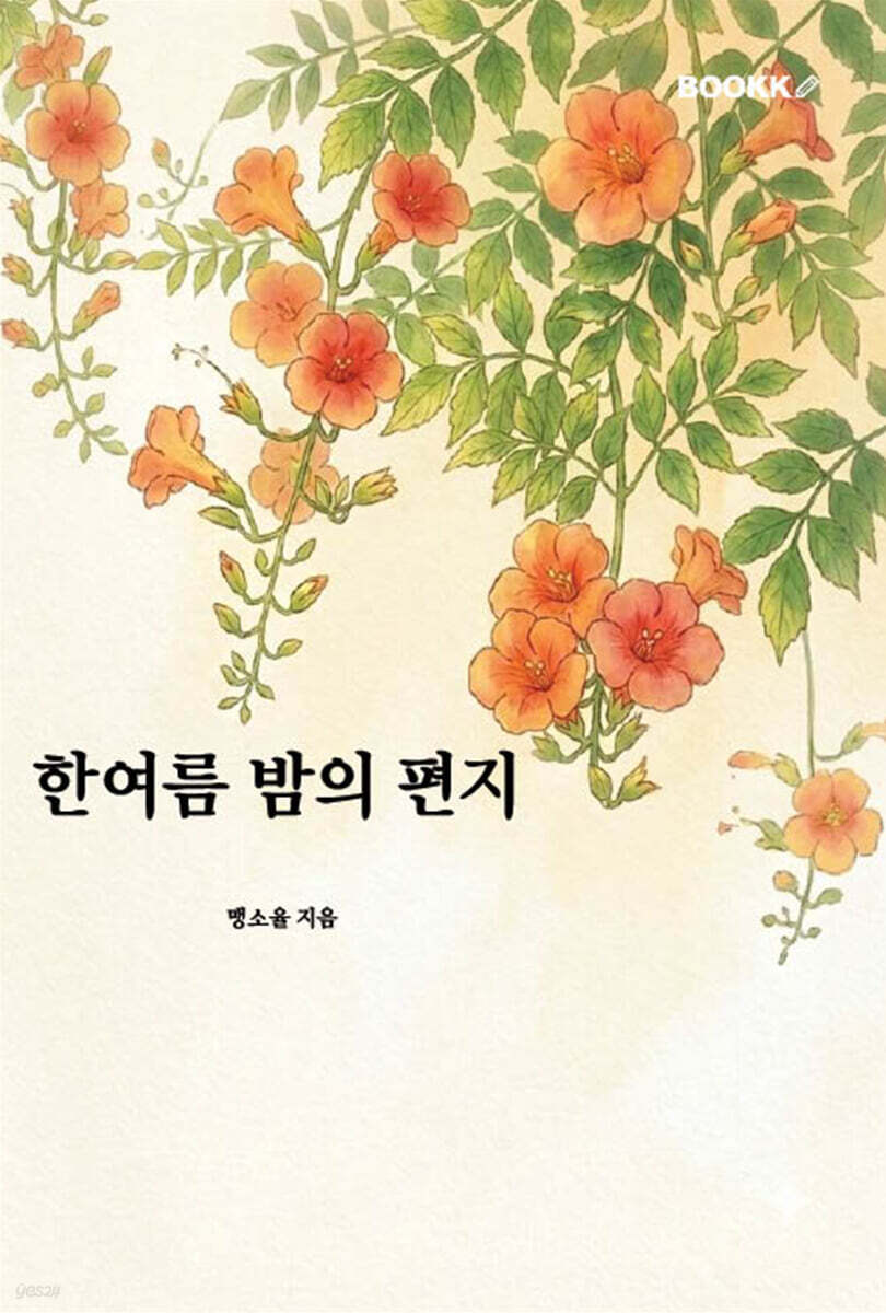 한여름 밤의 편지