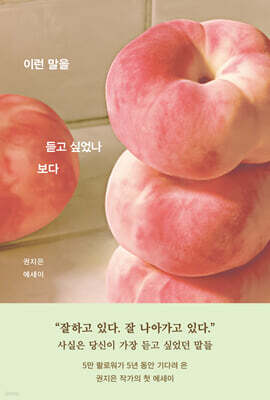 이런 말을 듣고 싶었나 보다 표지