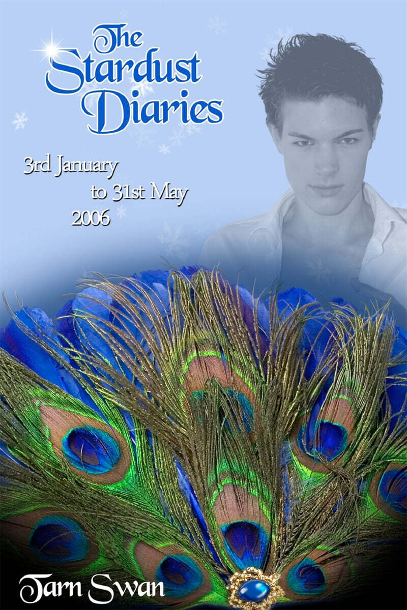 The Stardust Diaries 2006