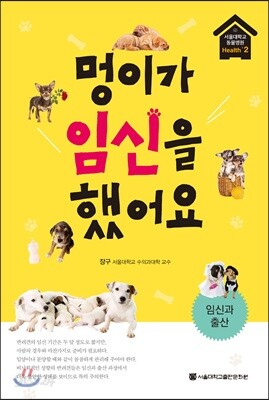 멍이가 임신을 했어요