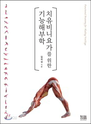 치유비니요가를 위한 기능해부학