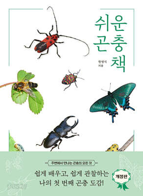 쉬운 곤충책