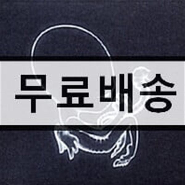 Sigur Ros (시규어 로스) - Agaetis Byrjun