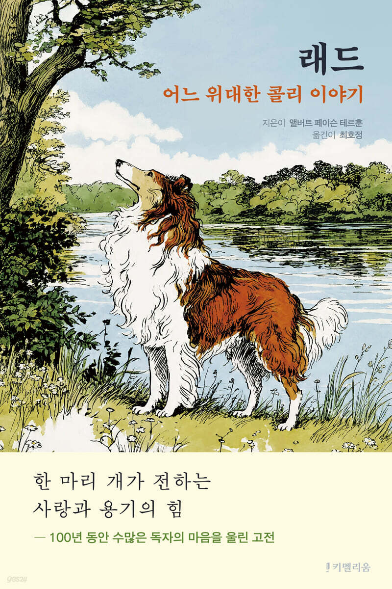 래드: 어느 위대한 콜리 이야기