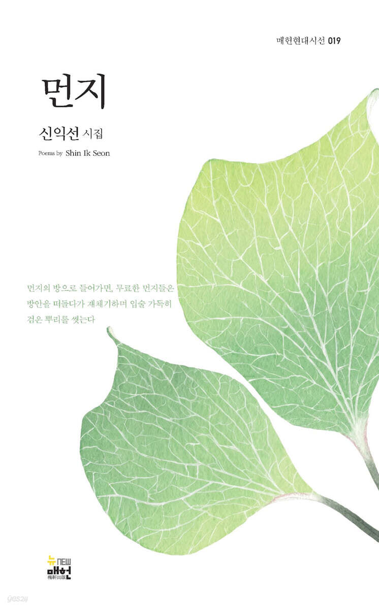 먼지