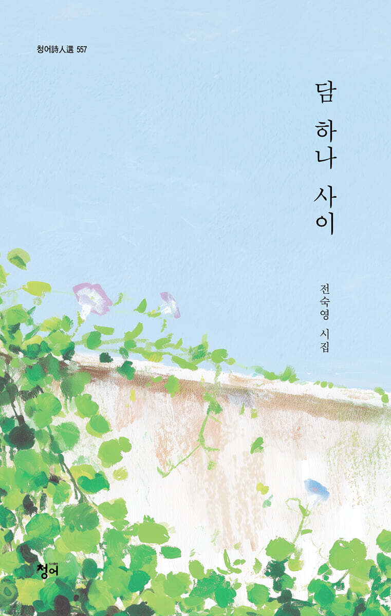 담 하나 사이