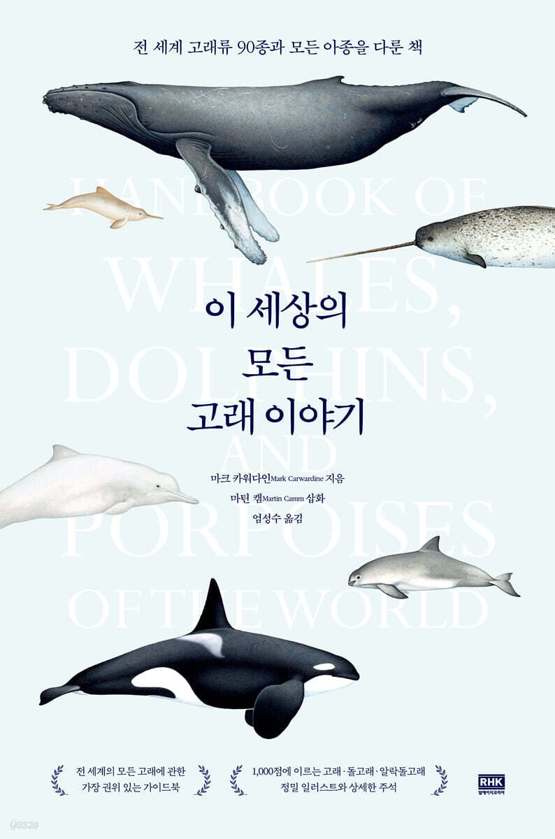 이 세상의 모든 고래 이야기